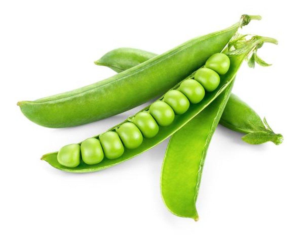 Green pea a source of protein