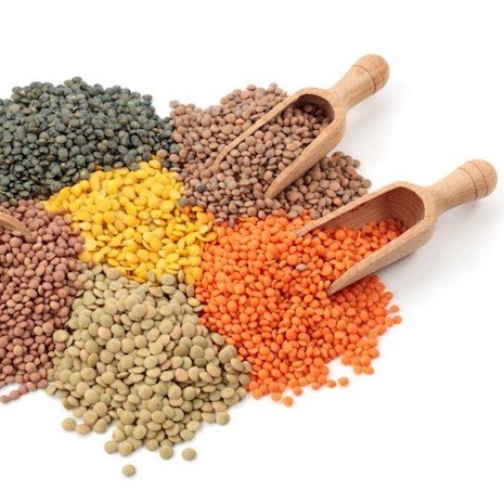 lentils source of protein