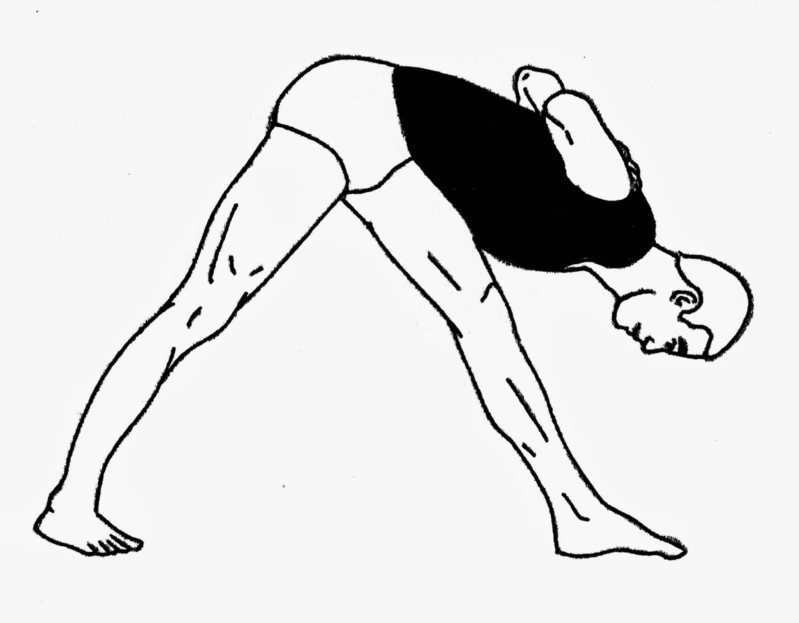 Parsvottanasana asana for yoga therapy and detoxification