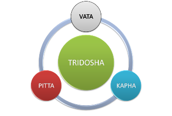 The Concept of Tri-Dosha- Basic principles of Energy