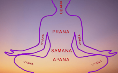 Pancha Prana in Human Body | Nepal Yoga Teacher Training