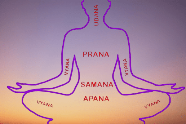 Pancha Prana Vayu - The Five Energy Flows in the body
