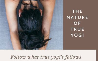 The Nature Of True Yogi and  What True Yogi Follows