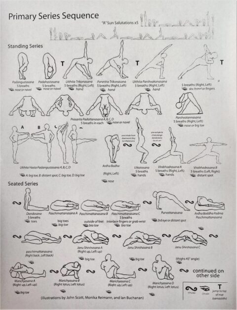 Ashtanga Vinyasa Primary Series 71 Postures Easy Guide