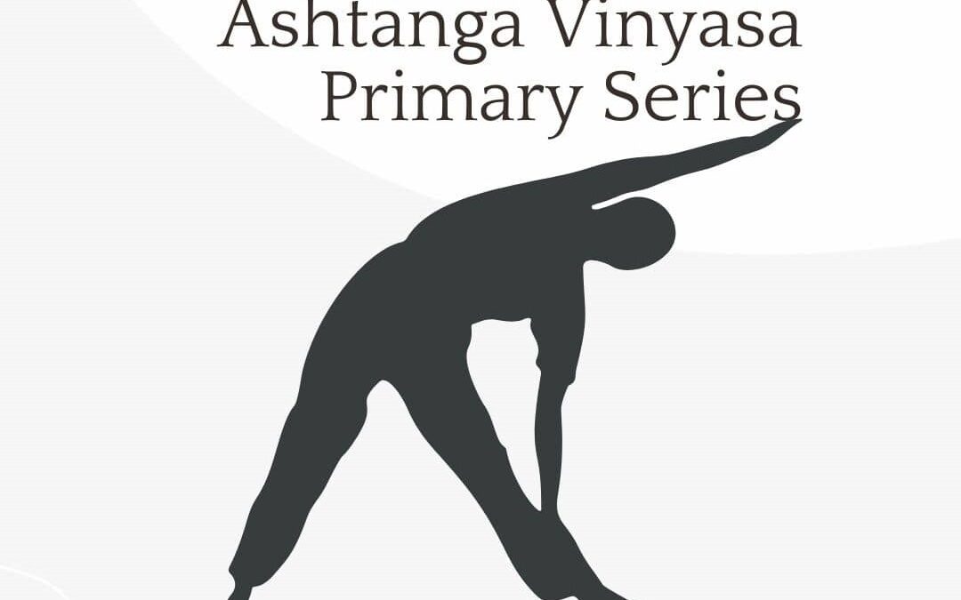 Alternative Ashtanga — Joey Paz Yoga