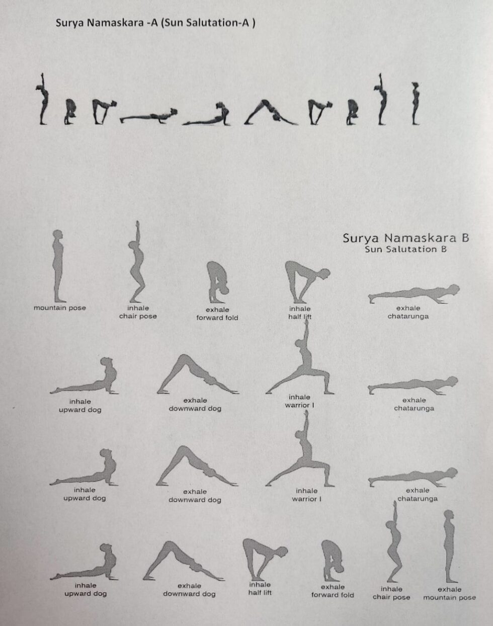 Ashtanga Vinyasa Primary Series 71 Postures Easy Guide